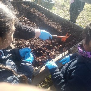 Visita Forjadores Ambientales Invernadero Pailahueque